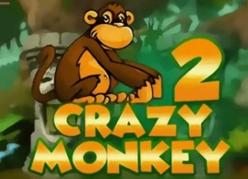 Игровой автомат «Crazy Monkey 2»