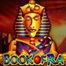 Игровой автомат «Book of Ra»